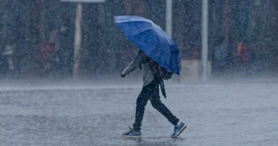 Dust storms, thunderstorms lash several parts of Haryana; red alert issued