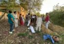 9-year-old boy killed in stray dog attack in Ludhiana