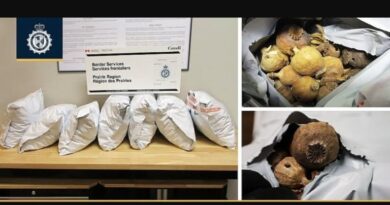Heroin, opium and dodas seized in separate CBSA drug busts
