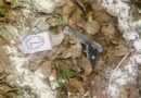 PAK-ISI BACKED TERROR MODULE BEHIND ATTEMPTED GRENADE ATTACK IN BATALA; SIX OPERATIVES HELD