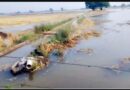 Over 200 acres submerged after fresh breach in Lambi Miner near Abohar, farmers demand compensation