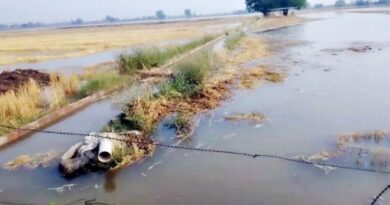 Over 200 acres submerged after fresh breach in Lambi Miner near Abohar, farmers demand compensation