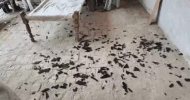 Pakistan targets Punjab again after Operation Sindoor; drones shot down, rockets recovered across multiple districts