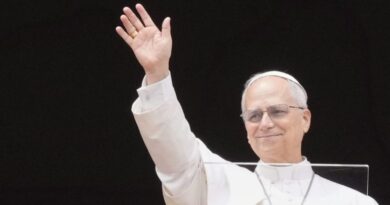 Pope Leo XIV urges global peace, welcomes India-Pakistan ceasefire